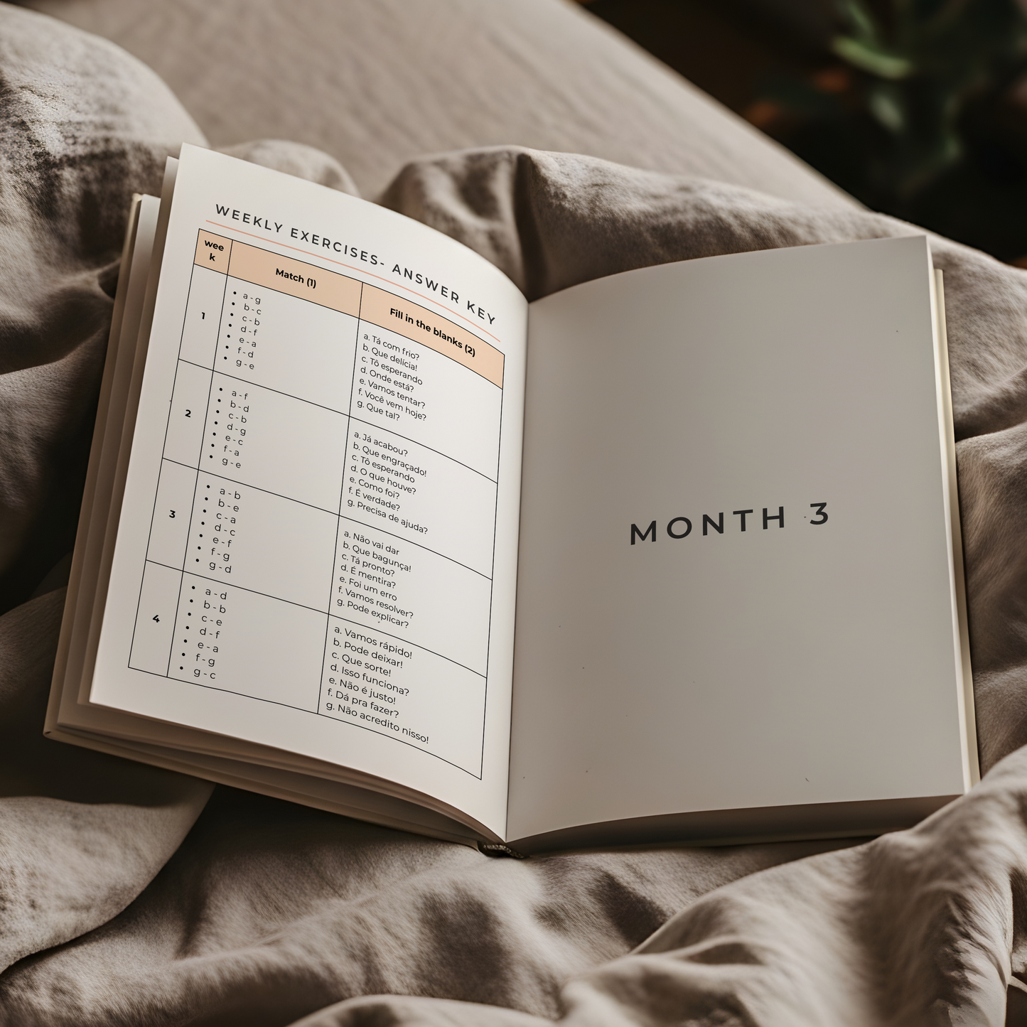 The 5-Minute Brazilian Portuguese Journal for Beginners