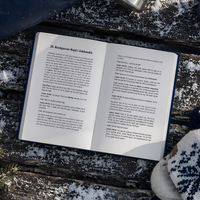 Short Stories in Swedish — image 6