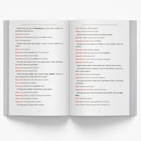 Nicaraguan Christmas Short Stories in Spanish for Beginners — image 4