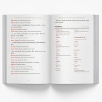 Panamanian Christmas Short Stories in Spanish for Beginners — image 4