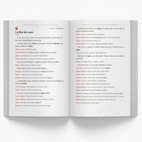 Paraguayan Christmas Short Stories in Spanish for Beginners — image 2
