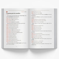 Puerto Rican Christmas Short Stories in Spanish for Beginners — image 4