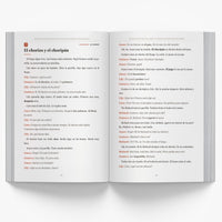 Uruguayan Christmas Short Stories in Spanish for Beginners — image 4